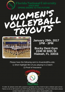 Volleyball Tryout Flyer