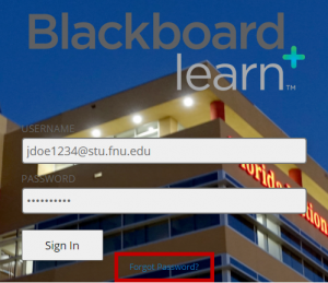Blackboard Forgot Password Option