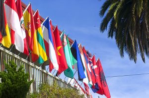 international flags against clear sky