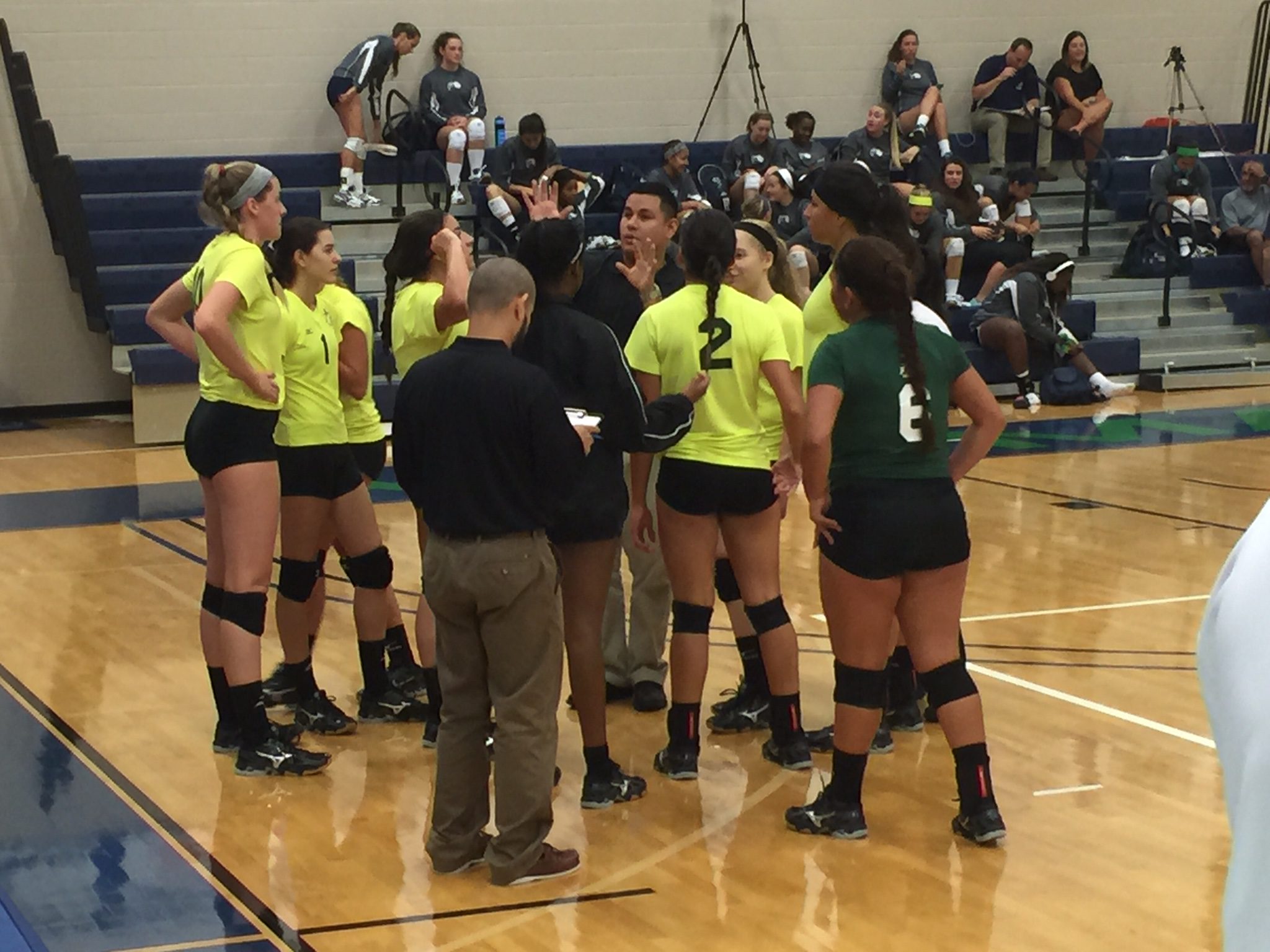 Division (mathematics) visual data 7